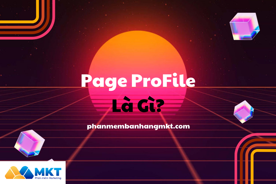 Page ProFile Là Gì?