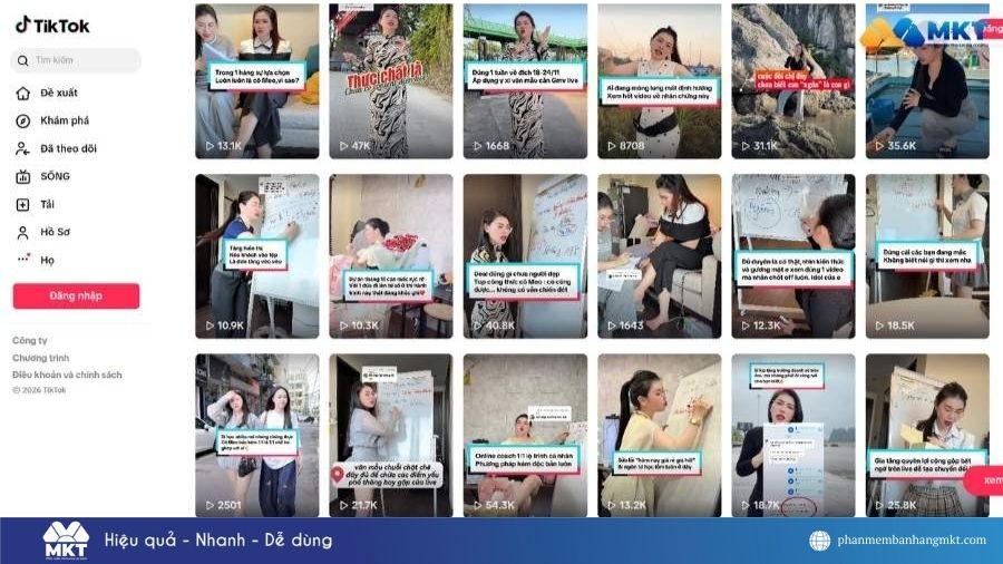 TikTok Cô Mèo Văn Mẫu